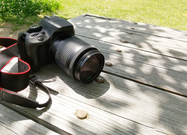take pictures
