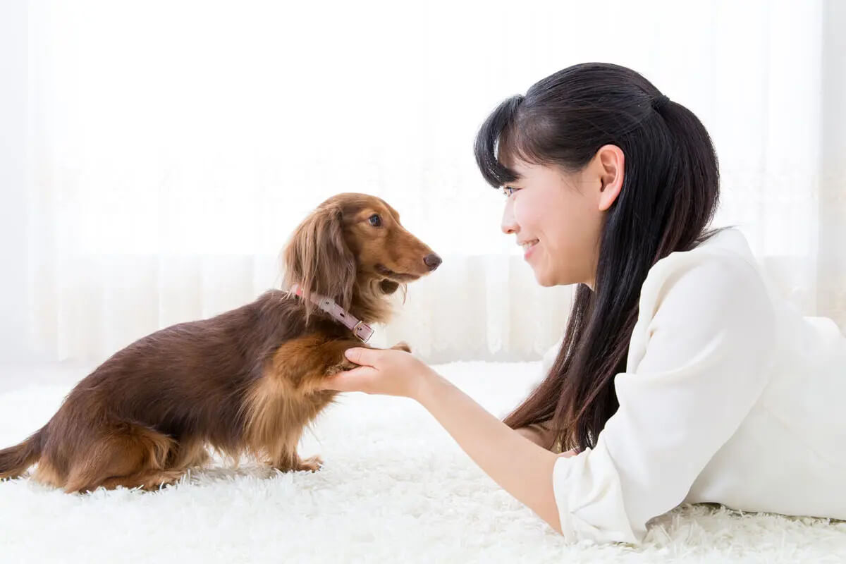 your precious pet